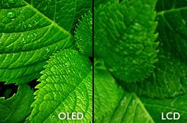 Pantalla iPhone LCD vs OLED